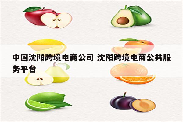 中国沈阳跨境电商公司 沈阳跨境电商公共服务平台