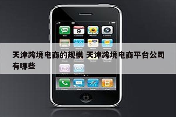 天津跨境电商的规模 天津跨境电商平台公司有哪些