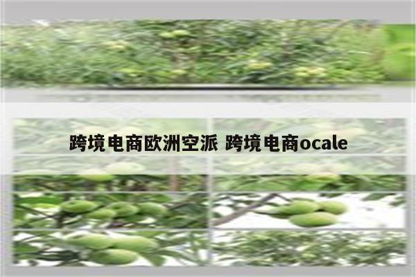 跨境电商欧洲空派 跨境电商ocale