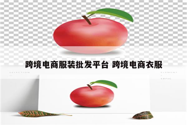 跨境电商服装批发平台 跨境电商衣服