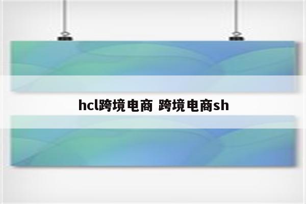hcl跨境电商 跨境电商sh