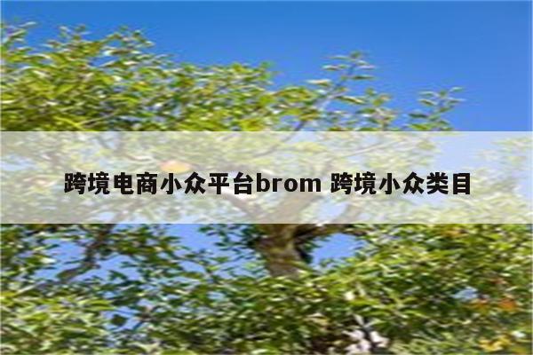跨境电商小众平台brom 跨境小众类目