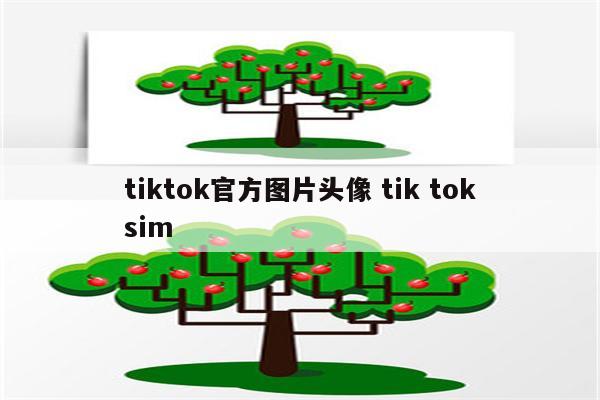 tiktok官方图片头像 tik toksim