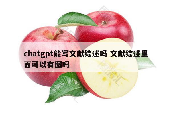 chatgpt能写文献综述吗 文献综述里面可以有图吗