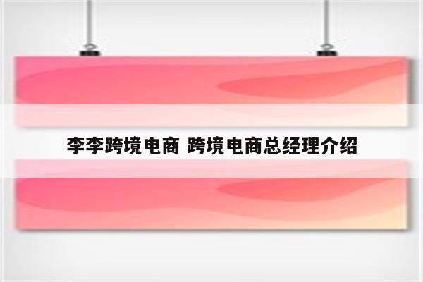 李李跨境电商 跨境电商总经理介绍