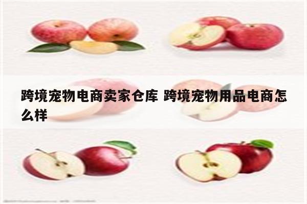跨境宠物电商卖家仓库 跨境宠物用品电商怎么样