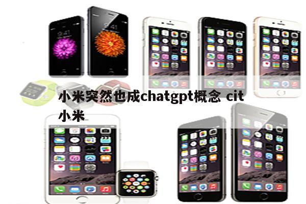 小米突然也成chatgpt概念 cit 小米