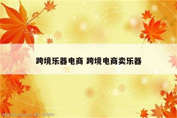 跨境乐器电商 跨境电商卖乐器