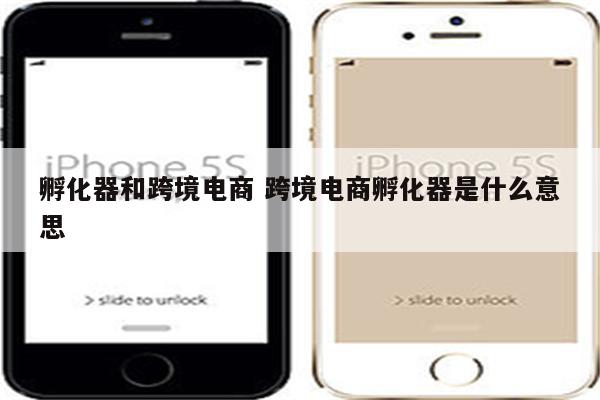 孵化器和跨境电商 跨境电商孵化器是什么意思