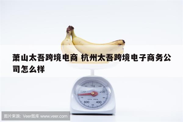 萧山太吾跨境电商 杭州太吾跨境电子商务公司怎么样