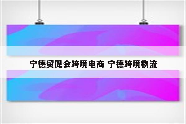 宁德贸促会跨境电商 宁德跨境物流