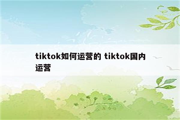 tiktok如何运营的 tiktok国内运营