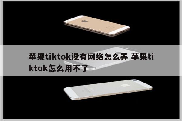 苹果tiktok没有网络怎么弄 苹果tiktok怎么用不了