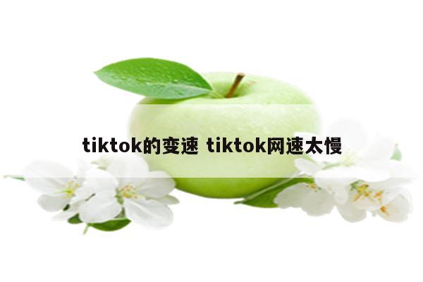 tiktok的变速 tiktok网速太慢