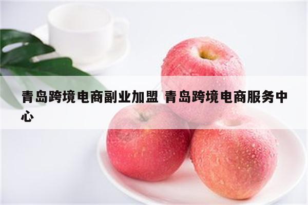 青岛跨境电商副业加盟 青岛跨境电商服务中心