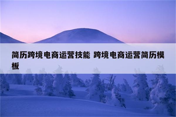简历跨境电商运营技能 跨境电商运营简历模板