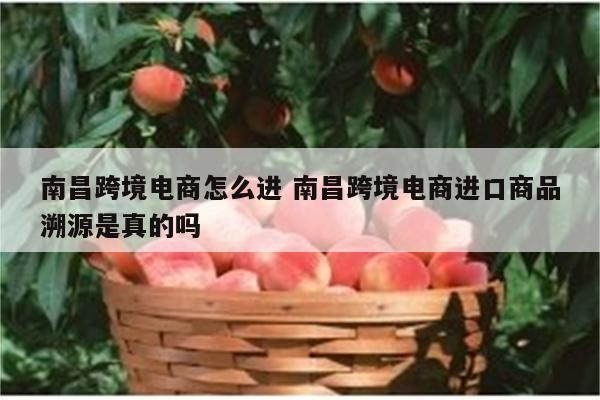 南昌跨境电商怎么进 南昌跨境电商进口商品溯源是真的吗