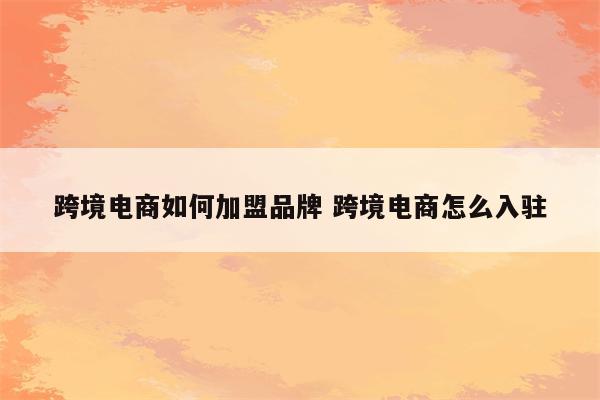 跨境电商如何加盟品牌 跨境电商怎么入驻
