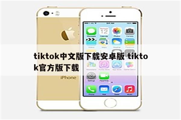 tiktok中文版下载安卓版 tiktok官方版下载