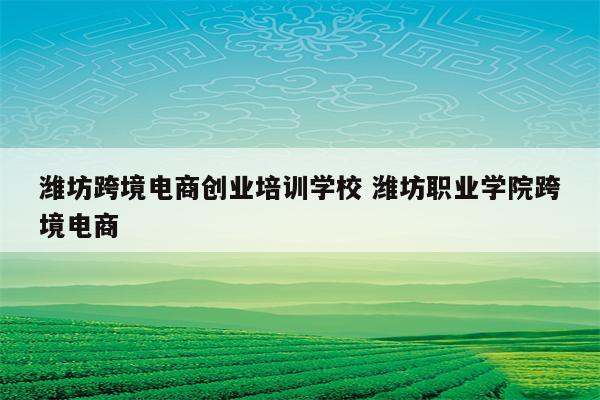 潍坊跨境电商创业培训学校 潍坊职业学院跨境电商