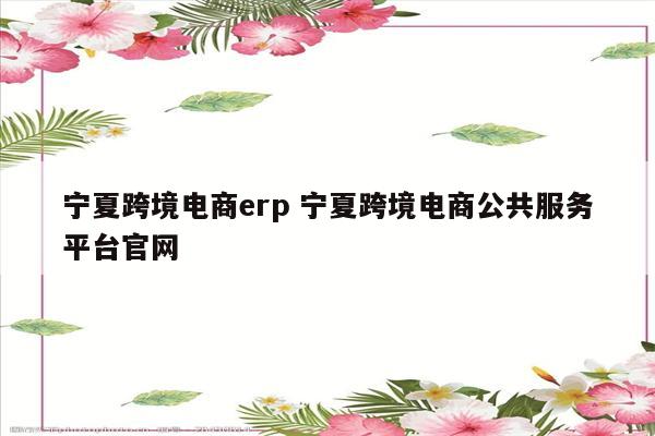 宁夏跨境电商erp 宁夏跨境电商公共服务平台官网