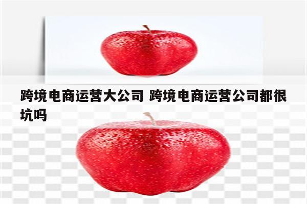 跨境电商运营大公司 跨境电商运营公司都很坑吗