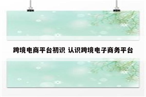 跨境电商平台初识 认识跨境电子商务平台