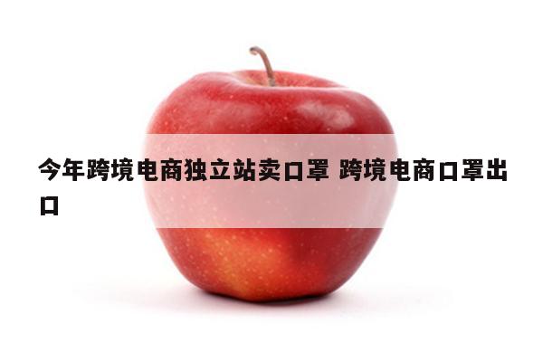 今年跨境电商独立站卖口罩 跨境电商口罩出口