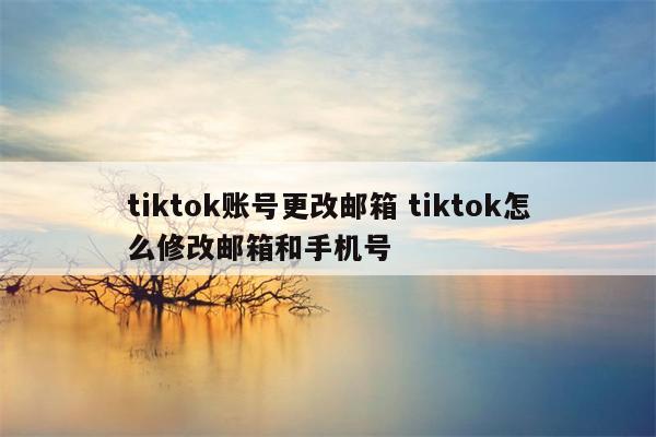 tiktok账号更改邮箱 tiktok怎么修改邮箱和手机号