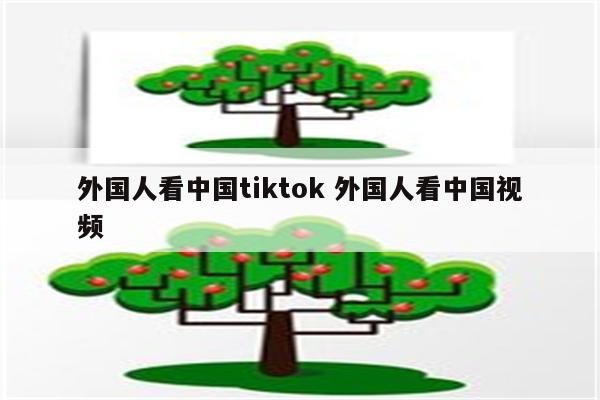 外国人看中国tiktok 外国人看中国视频