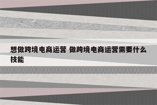 想做跨境电商运营 做跨境电商运营需要什么技能