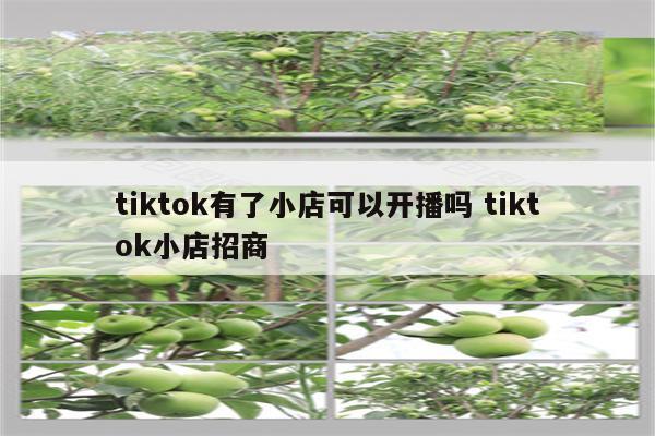 tiktok有了小店可以开播吗 tiktok小店招商