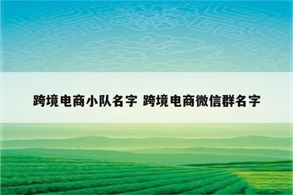 跨境电商小队名字 跨境电商微信群名字