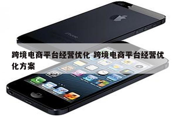 跨境电商平台经营优化 跨境电商平台经营优化方案