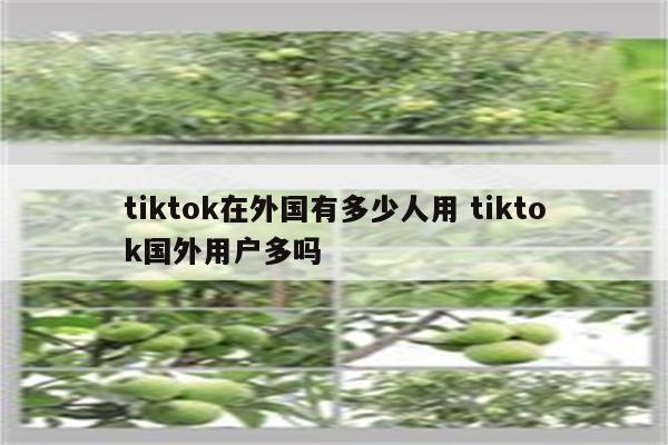 tiktok在外国有多少人用 tiktok国外用户多吗