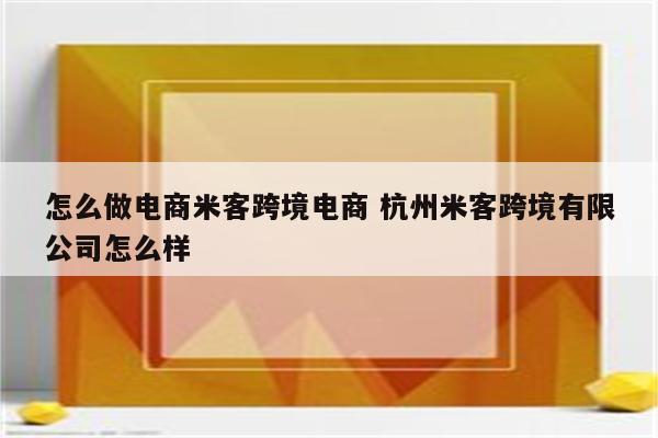 怎么做电商米客跨境电商 杭州米客跨境有限公司怎么样