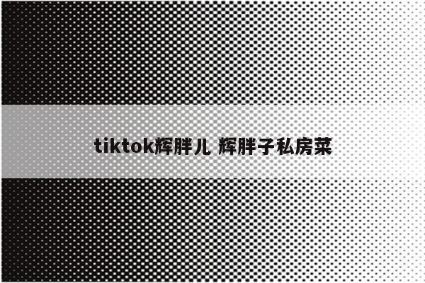 tiktok辉胖儿 辉胖子私房菜