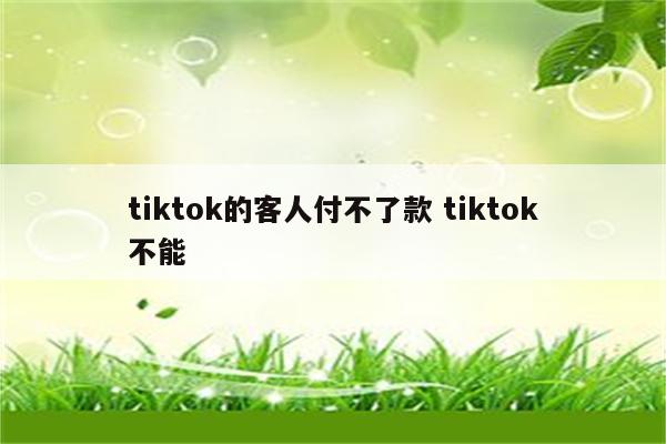 tiktok的客人付不了款 tiktok不能