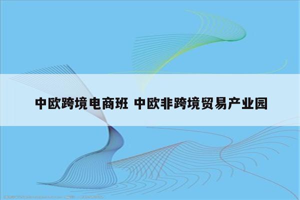 中欧跨境电商班 中欧非跨境贸易产业园