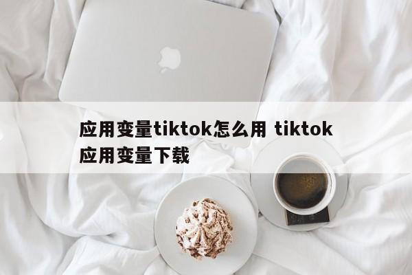 应用变量tiktok怎么用 tiktok应用变量下载