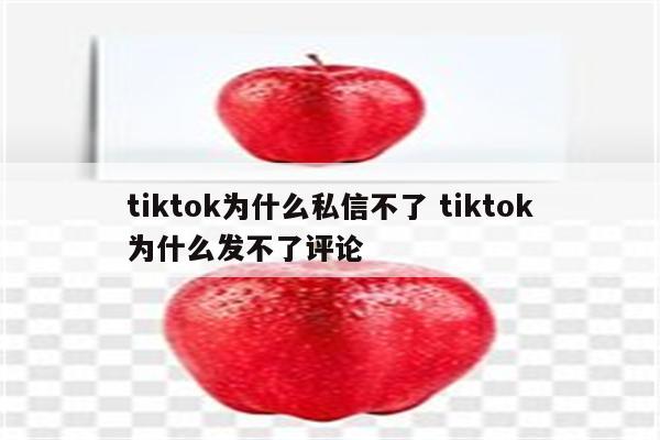 tiktok为什么私信不了 tiktok为什么发不了评论