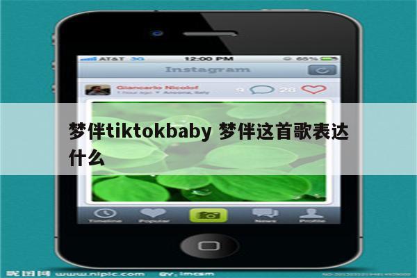 梦伴tiktokbaby 梦伴这首歌表达什么