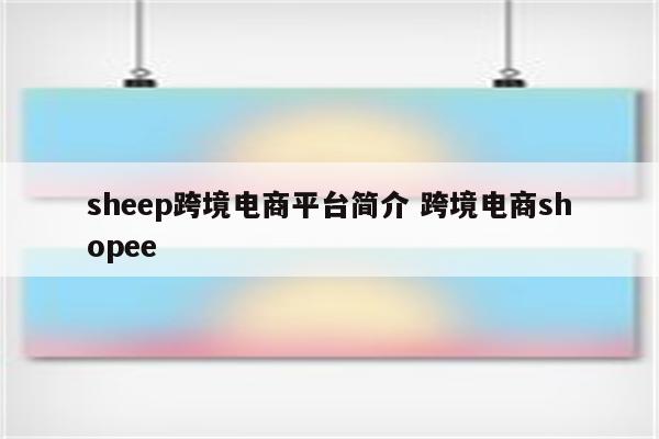 sheep跨境电商平台简介 跨境电商shopee