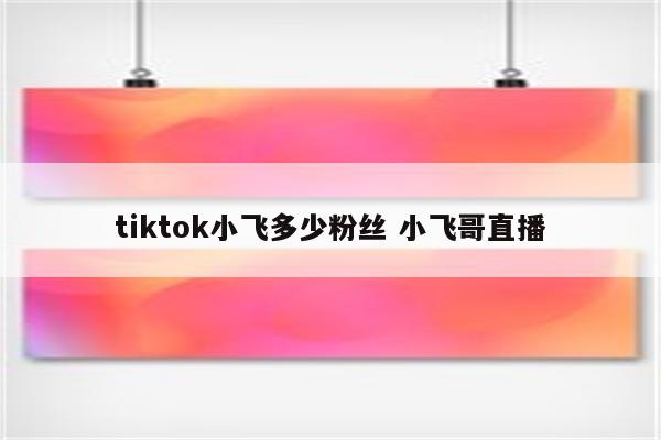 tiktok小飞多少粉丝 小飞哥直播