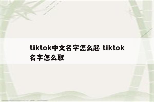 tiktok中文名字怎么起 tiktok名字怎么取