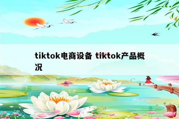 tiktok电商设备 tiktok产品概况