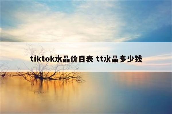 tiktok水晶价目表 tt水晶多少钱