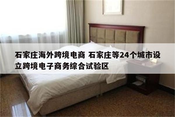 石家庄海外跨境电商 石家庄等24个城市设立跨境电子商务综合试验区