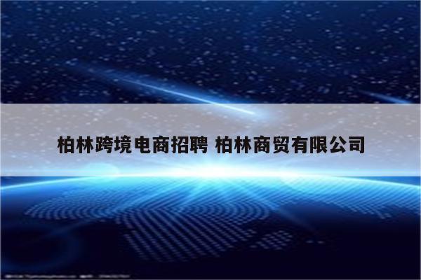 柏林跨境电商招聘 柏林商贸有限公司