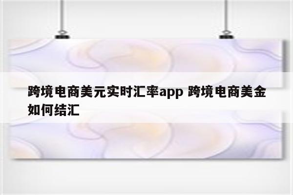 跨境电商美元实时汇率app 跨境电商美金如何结汇